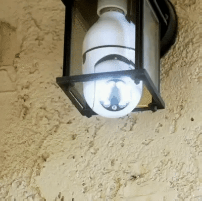 HOME IMPROVEMENT
